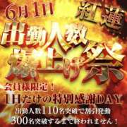 ヒメ日記 2026/05/30 09:20 投稿 せりか 奥鉄オクテツ兵庫