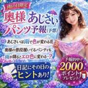 ヒメ日記 2026/06/25 09:00 投稿 せりか 奥鉄オクテツ兵庫