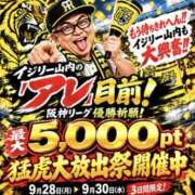 ヒメ日記 2026/09/29 10:00 投稿 せりか 奥鉄オクテツ兵庫