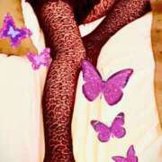 ヒメ日記 2025/11/13 08:30 投稿 せりか 奥鉄オクテツ奈良