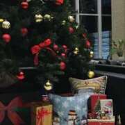 ヒメ日記 2025/12/24 00:00 投稿 せりか 奥鉄オクテツ奈良