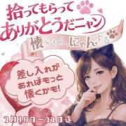 ヒメ日記 2026/02/19 08:35 投稿 せりか 奥鉄オクテツ奈良