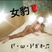 ヒメ日記 2026/03/13 11:00 投稿 せりか 奥鉄オクテツ奈良