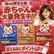 ヒメ日記 2026/05/07 09:00 投稿 せりか 奥鉄オクテツ奈良