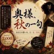ヒメ日記 2026/09/04 10:00 投稿 せりか 奥鉄オクテツ奈良