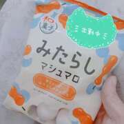 ヒメ日記 2025/05/14 10:02 投稿 あお 水戸人妻花壇
