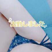 ヒメ日記 2025/05/20 10:02 投稿 あお 水戸人妻花壇