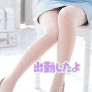 ヒメ日記 2025/07/29 09:49 投稿 あお 水戸人妻花壇