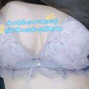 ヒメ日記 2025/08/15 14:33 投稿 あお 水戸人妻花壇