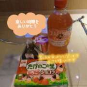 ヒメ日記 2025/09/19 13:56 投稿 あお 水戸人妻花壇