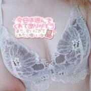 ヒメ日記 2025/11/09 16:42 投稿 あお 水戸人妻花壇