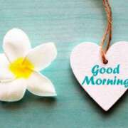 ヒメ日記 2025/01/13 11:47 投稿 森田 MadameRest(マダムレスト)