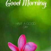 ヒメ日記 2025/01/15 07:23 投稿 森田 MadameRest(マダムレスト)