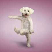 ヒメ日記 2025/01/18 10:08 投稿 森田 MadameRest(マダムレスト)