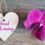 ヒメ日記 2025/01/23 07:55 投稿 森田 MadameRest(マダムレスト)