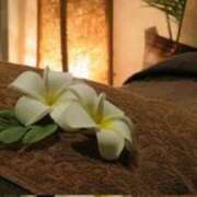 ヒメ日記 2025/02/02 15:33 投稿 森田 MadameRest(マダムレスト)