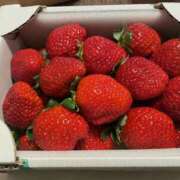 ヒメ日記 2025/02/06 17:10 投稿 森田 MadameRest(マダムレスト)