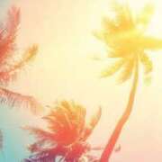 ヒメ日記 2025/02/19 07:26 投稿 森田 MadameRest(マダムレスト)