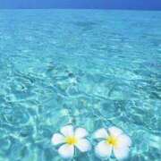 ヒメ日記 2025/02/23 12:27 投稿 森田 MadameRest(マダムレスト)