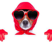 ヒメ日記 2025/02/24 14:36 投稿 森田 MadameRest(マダムレスト)