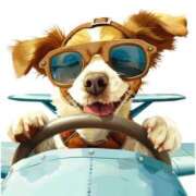 ヒメ日記 2025/03/02 11:56 投稿 森田 MadameRest(マダムレスト)