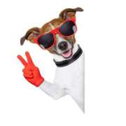 ヒメ日記 2025/03/05 13:41 投稿 森田 MadameRest(マダムレスト)