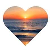 ヒメ日記 2025/03/06 07:31 投稿 森田 MadameRest(マダムレスト)