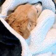 ヒメ日記 2025/03/07 08:00 投稿 森田 MadameRest(マダムレスト)