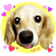 ヒメ日記 2025/03/07 16:19 投稿 森田 MadameRest(マダムレスト)