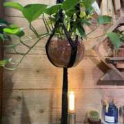 ヒメ日記 2025/03/08 12:19 投稿 森田 MadameRest(マダムレスト)