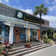 ヒメ日記 2025/03/08 15:52 投稿 森田 MadameRest(マダムレスト)