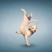 ヒメ日記 2025/03/12 17:53 投稿 森田 MadameRest(マダムレスト)