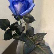 ヒメ日記 2025/03/13 23:47 投稿 森田 MadameRest(マダムレスト)