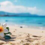 ヒメ日記 2025/03/14 09:14 投稿 森田 MadameRest(マダムレスト)