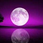 ヒメ日記 2025/03/14 18:09 投稿 森田 MadameRest(マダムレスト)