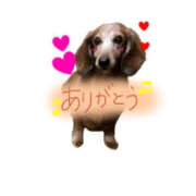 ヒメ日記 2025/03/16 03:39 投稿 森田 MadameRest(マダムレスト)