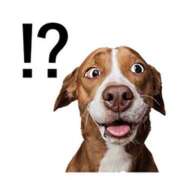 ヒメ日記 2025/03/18 16:52 投稿 森田 MadameRest(マダムレスト)