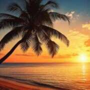 ヒメ日記 2025/03/20 10:29 投稿 森田 MadameRest(マダムレスト)