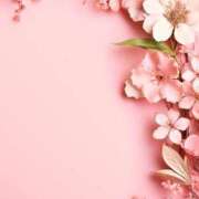 ヒメ日記 2025/03/21 07:34 投稿 森田 MadameRest(マダムレスト)