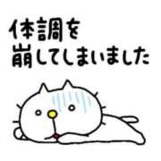 ヒメ日記 2025/03/23 14:14 投稿 森田 MadameRest(マダムレスト)