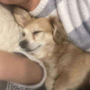 ヒメ日記 2025/03/23 23:04 投稿 森田 MadameRest(マダムレスト)