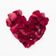 ヒメ日記 2025/03/27 01:41 投稿 森田 MadameRest(マダムレスト)