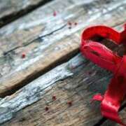 ヒメ日記 2025/03/29 19:06 投稿 森田 MadameRest(マダムレスト)