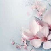 ヒメ日記 2025/03/31 09:17 投稿 森田 MadameRest(マダムレスト)