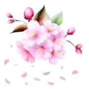 ヒメ日記 2025/04/05 08:21 投稿 森田 MadameRest(マダムレスト)