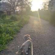 ヒメ日記 2025/04/05 18:48 投稿 森田 MadameRest(マダムレスト)