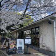 ヒメ日記 2025/04/06 11:29 投稿 森田 MadameRest(マダムレスト)