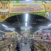 ヒメ日記 2025/04/08 14:37 投稿 森田 MadameRest(マダムレスト)