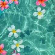 ヒメ日記 2025/04/10 09:16 投稿 森田 MadameRest(マダムレスト)