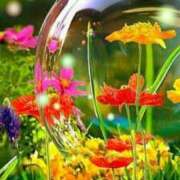 ヒメ日記 2025/04/11 07:50 投稿 森田 MadameRest(マダムレスト)